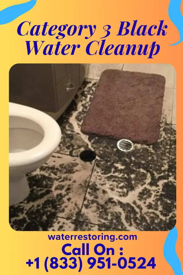 Category 3 Black Water Cleanup in Palmerton, PA