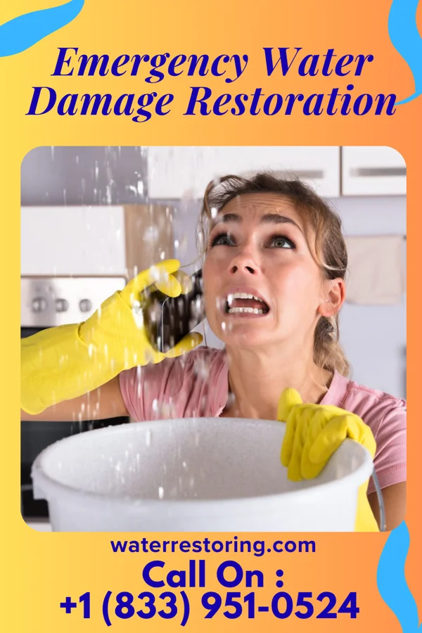 Emergency Water Damage Restoration in Palmerton, PA