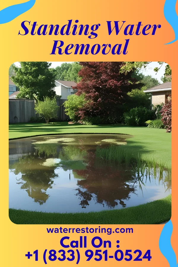 Standing Water Removal in Palmerton, PA